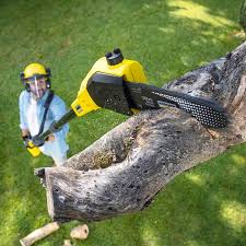 Best Aeration Services  in Porter Heights, TX